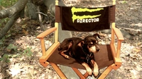 Behind the Scenes 10
