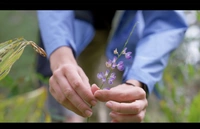 Film Stills 1