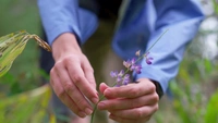 Film Stills 7