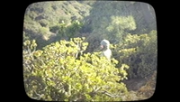 Film Stills 2